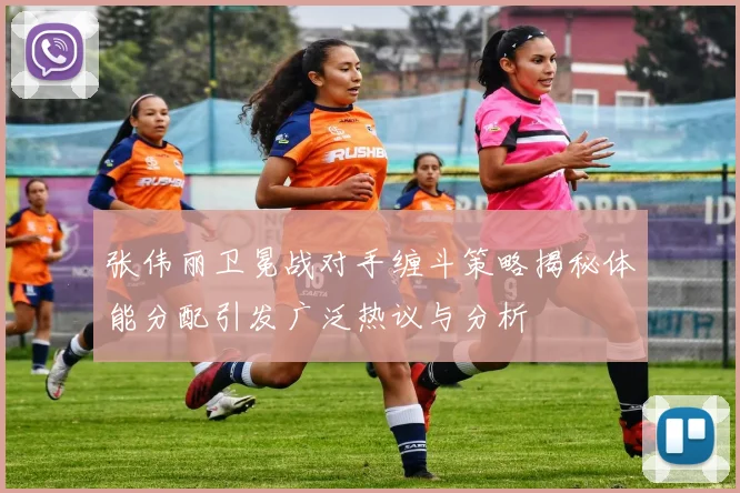 张伟丽卫冕战对手缠斗策略揭秘体能分配引发广泛热议与分析